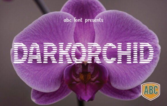 Darkorchid: A Serif Typeface for Editorial Elegance