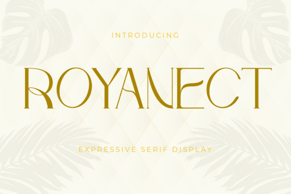 Royanect Typeface Review for Brand Design